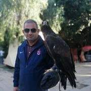  Algiers,  , 47