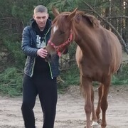 ���������� �����, ���� ������� ���������, 40 ���, ������������ ��� ������, ����� � ���������