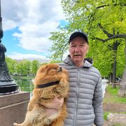 ���������� ������, ���� ������� �������, 71 ���, ������������ ��� ������, ����� � ���������, c�������� ���������