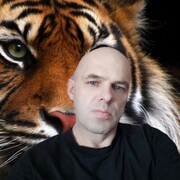  ,   , 50 ,   ,   