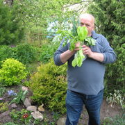 ���������� �������, ���� ������� ������, 68 ���, ������������ ��� ������, ����� � ���������, c�������� ���������