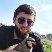  ,   ABDUL, 32 ,   ,   