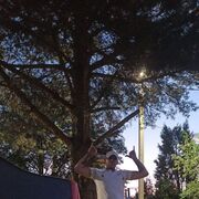 ���������� �������, ���� ������� ���������, 36 ���, ������������ ��� ������, ����� � ���������