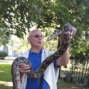 ���������� ������, ���� ������� �������, 53 ����, ������������ ��� ������, ����� � ���������, c�������� ���������