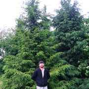  ,   , 45 ,   ,   , 