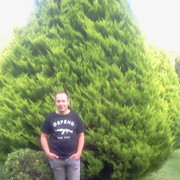  ,   Rauf, 51 ,   ,   , c 