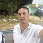  ,  , 43