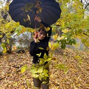 ���������� ������-��-����, ���� ������� �����, 58 ���, ������������ ��� ����� � ���������, c�������� ���������