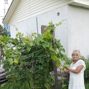  ,   Alina, 60 ,     , c 