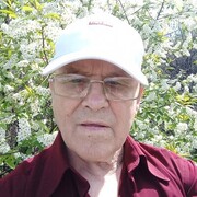 ���������� �����������, ���� ������� ��������, 80 ���, ������������ ��� ������, ����� � ���������