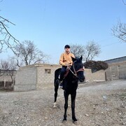 ���������� ���������, ���� ������� ����, 27 ���, ������������ ��� ������, ����� � ���������, c�������� ���������, ���������