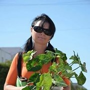 ���������� ���������, ���� ������� �������, 52 ����, ������������ ��� ������, ����� � ���������, c�������� ���������