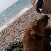 ���������� ����, ���� ������� ������, 43 ����, ������������ ��� ������, ����� � ���������, c�������� ���������