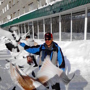 ���������� �����������, ������� ������, 51