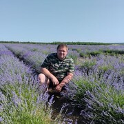 ���������� ����-��������, ������� ������, 39