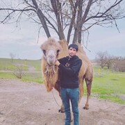 ���������� ������-��-����, ���� ������� ������, 37 ���, ������������ ��� ������, ����� � ���������