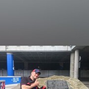 ���������� ������, ���� ������� �������, 44 ����, ������������ ��� ������, ����� � ���������, c�������� ���������