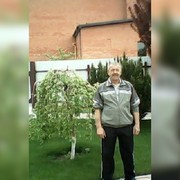  ,   , 66 ,   ,   , c 