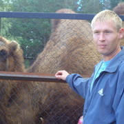 ���������� �������, ���� ������� �����, 37 ���, ������������ ��� ������, ����� � ���������, c�������� ���������