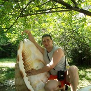  ,   , 48 ,   