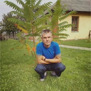  ,   , 45 ,   