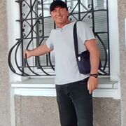 ���������� �����������, ���� ������� OL�g, 48 ���, ������������ ��� ������, ����� � ���������