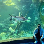 ���������� ������, ���� ������� �������, 39 ���, ������������ ��� ������, ����� � ���������