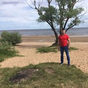 ���������� ����, ���� ������� ����, 41 ���, ������������ 