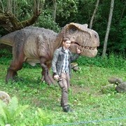 ���������� ����, ���� ������� ������, 34 ����, ������������ ��� ������