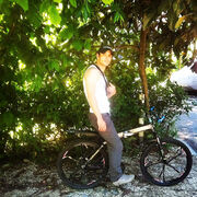 ���������� ���������, ���� ������� �������, 38 ���, ������������ ��� ������, ����� � ���������, c�������� ���������