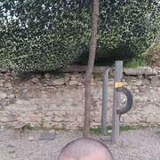 ���������� ������������, ���� ������� Alexey, 45 ���, ������������ ��� ������, ����� � ���������