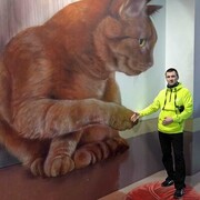 ���������� �������, ���� ������� �������, 36 ���, ������������ ��� ������, ����� � ���������, c�������� ���������, ���������