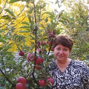  ,   Milada, 58 ,     , c 