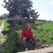 ���������� ����, ���� ������� ���, 50 ���, ������������ ��� ������, ����� � ���������