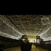 ���������� �����, ���� ������� ������, 36 ���, ������������ ��� ������, ����� � ���������, c�������� ���������