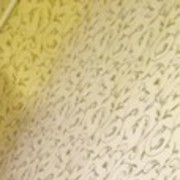 ���������� ����, ���� ������� Elchin, 39 ���, ������������ ��� ������, ����� � ���������, c�������� ���������