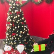 ���������� ������, ���� ������� �����, 34 ����, ������������ ��� ����� � ���������, c�������� ���������