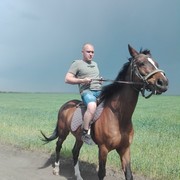   ,   , 42 ,   