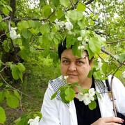 ���������� ���������� �����, ���� ������� �������, 53 ����, ������������ ��� ������, ����� � ���������