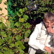 ���������� �����, ���� ������� Alex, 65 ���, ������������ ��� ������