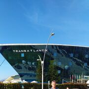 ���������� ���������, ���� ������� ��������, 51 ���, ������������ ��� ����� � ���������, c�������� ���������