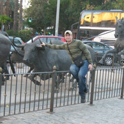 ���������� ���������, ���� ������� ����, 43 ����, ������������ ��� ������, ����� � ���������