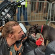 ���������� �����-���������, ���� ������� ����, 50 ���, ������������ ��� ������