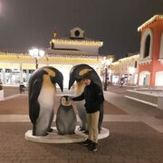 ���������� ������, ���� ������� ��������, 30 ���, ������������ ��� ������, ����� � ���������