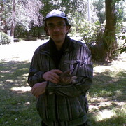  ,   , 51 ,     , c 