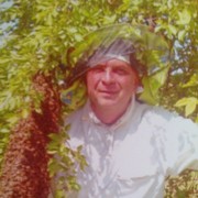  ,   , 53 ,  