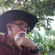  -,   Leo, 66 ,   ,   , c 