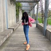 ���������� ���������, ���� ������� ���������, 25 ���, ������������ 