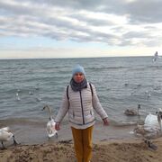 ���������� ������, ���� ������� ������, 65 ���, ������������ ��� ������, ����� � ���������