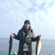 ���������� �����������, ���� ������� ��������, 39 ���, ������������ ��� ������, ����� � ���������, c�������� ���������